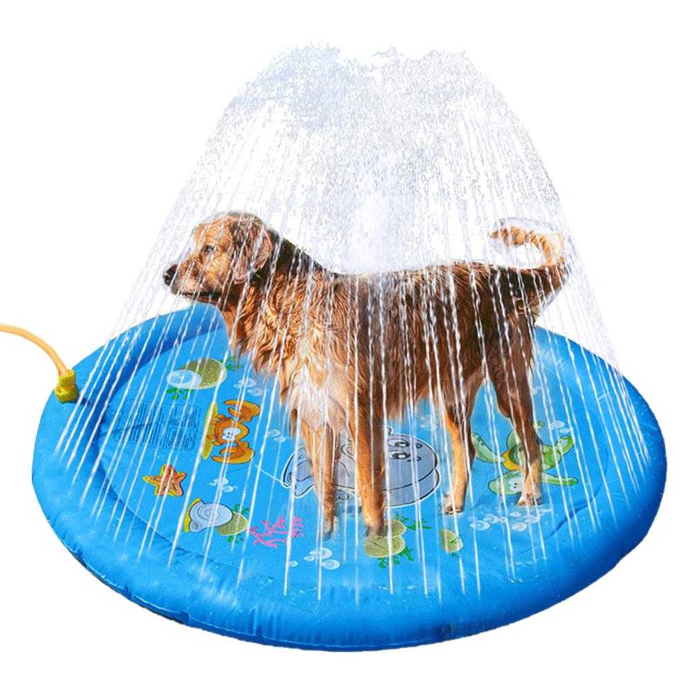 Zakaj psi potrebujejo bazen? - Petexpress.si